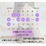 ヒメ日記 2026/01/27 09:15 投稿 くるり バイオレンス