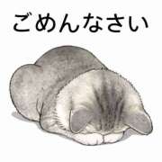 くるり 本当にごめんなさい😿 バイオレンス