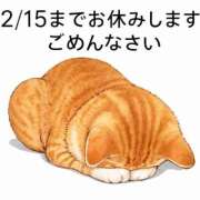 ヒメ日記 2026/02/12 20:05 投稿 くるり バイオレンス