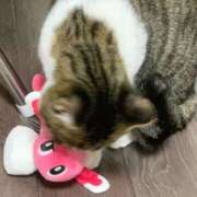ヒメ日記 2026/06/14 23:25 投稿 くるり バイオレンス