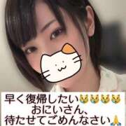 くるり diary 体調！頑張れ！くるりの免疫！ バイオレンス