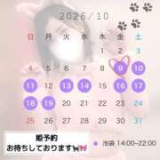 ヒメ日記 2026/10/09 12:55 投稿 くるり バイオレンス