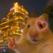 ヒメ日記 2025/09/30 18:18 投稿 くるみ アドミsince2009吉祥寺デリヘル&Go To FANTASY東京吉祥寺店