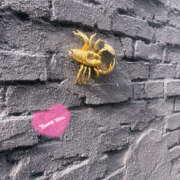 ヒメ日記 2025/08/10 06:28 投稿 なつみ 排泄マニア