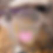 ヒメ日記 2025/10/04 03:20 投稿 なつみ 排泄マニア