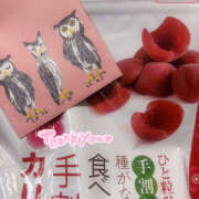 ヒメ日記 2025/10/22 00:11 投稿 なつみ 排泄マニア