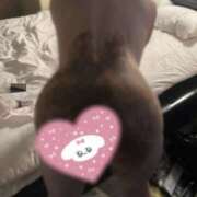 ヒメ日記 2025/11/17 04:24 投稿 なつみ 排泄マニア