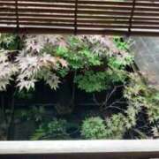 ヒメ日記 2025/08/10 09:55 投稿 りさ 横浜しこたまクリニック