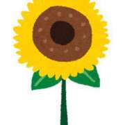 ヒメ日記 2025/08/14 21:43 投稿 りさ 横浜しこたまクリニック