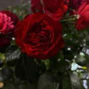 はに はにかみのはに꒦꒷✧︎*。 渋谷じゃっくす