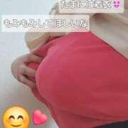 ヒメ日記 2025/09/11 10:45 投稿 由美 モアグループ南越谷人妻花壇