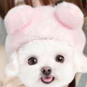 ヒメ日記 2025/07/03 17:12 投稿 なつみ 上野ハンドメイド