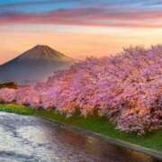 ヒメ日記 2025/07/06 21:35 投稿 小倉（おぐら） 熟女の風俗最終章 大宮店