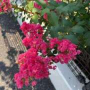 ヒメ日記 2025/07/27 12:25 投稿 小倉（おぐら） 熟女の風俗最終章 大宮店