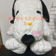 ヒメ日記 2025/07/31 00:55 投稿 小倉（おぐら） 熟女の風俗最終章 大宮店