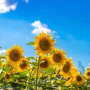 ヒメ日記 2025/08/19 07:25 投稿 小倉（おぐら） 熟女の風俗最終章 大宮店