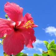 ヒメ日記 2025/08/21 04:05 投稿 小倉（おぐら） 熟女の風俗最終章 大宮店