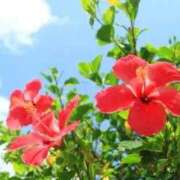 ヒメ日記 2025/09/01 23:35 投稿 小倉（おぐら） 熟女の風俗最終章 大宮店