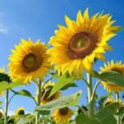 ヒメ日記 2025/09/02 21:35 投稿 小倉（おぐら） 熟女の風俗最終章 大宮店