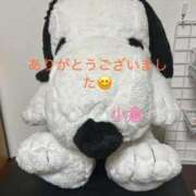 ヒメ日記 2025/09/04 01:27 投稿 小倉（おぐら） 熟女の風俗最終章 大宮店