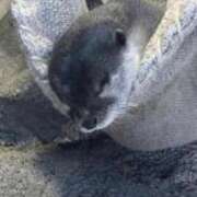 ヒメ日記 2025/09/07 23:05 投稿 小倉（おぐら） 熟女の風俗最終章 大宮店