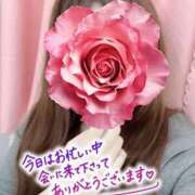 ヒメ日記 2026/02/12 11:47 投稿 なつみ 神田ハンドメイド