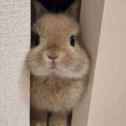 ヒメ日記 2026/04/04 13:05 投稿 なつみ 神田ハンドメイド