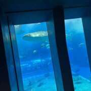 ヒメ日記 2026/03/09 08:02 投稿 いろは 横浜パフパフチェリーパイ