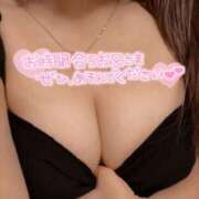 ヒメ日記 2025/07/07 23:41 投稿 ねる 池袋ぱんぷきん（シンデレラグループ）