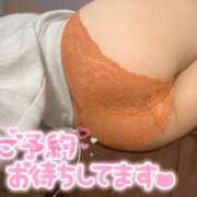 ヒメ日記 2026/02/07 07:01 投稿 ねる 池袋ぱんぷきん（シンデレラグループ）