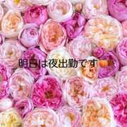 ヒメ日記 2025/11/11 21:32 投稿 常磐　もも PLATINA R-30（すすきの）