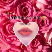 常磐　もも 今日のお知らせ🍑 PLATINA R-30（すすきの）