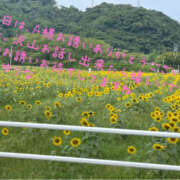 ヒメ日記 2025/09/10 22:22 投稿 金田ゆりな(かねだゆりな) 五十路マダムエクスプレス厚木店(カサブランカグループ)