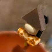 ヒメ日記 2025/12/18 22:08 投稿 なな プールサイド