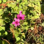 ヒメ日記 2025/07/02 00:14 投稿 うる マリンマリン