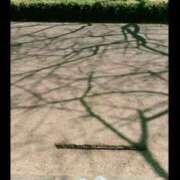 ヒメ日記 2025/07/27 16:34 投稿 うる マリンマリン