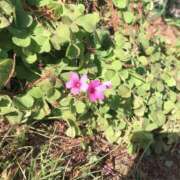 ヒメ日記 2025/07/28 01:14 投稿 うる マリンマリン