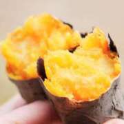 ヒメ日記 2025/11/13 17:15 投稿 一楓(いちか) 人妻城 横浜本店