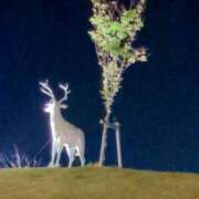 ヒメ日記 2025/06/23 02:12 投稿 ゆみ　奥様 SUTEKIな奥様は好きですか?