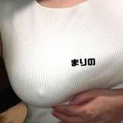 ヒメ日記 2025/11/02 08:45 投稿 まりの ぺろぺろベロベロ専科 ぺろんちょ