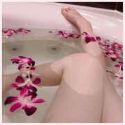 ヒメ日記 2025/06/23 14:15 投稿 かれん 逢って30秒で即尺