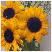 ヒメ日記 2025/07/10 08:54 投稿 かれん 逢って30秒で即尺