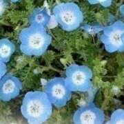 ヒメ日記 2025/07/11 08:17 投稿 かれん 逢って30秒で即尺