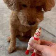 ヒメ日記 2025/10/20 23:22 投稿 ののか いざ候 別館