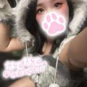 ヒメ日記 2025/10/30 15:44 投稿 ののか いざ候 別館