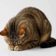 ヒメ日記 2025/12/07 14:14 投稿 ののか いざ候 別館