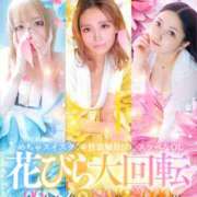 ヒメ日記 2025/08/11 09:45 投稿 二葉　かなう #性欲解放区　梅田人妻性感デトックス