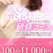 ヒメ日記 2025/08/19 11:00 投稿 二葉　かなう #性欲解放区　梅田人妻性感デトックス