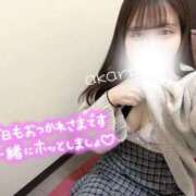 ヒメ日記 2025/12/12 17:28 投稿 あかり リアル 日本橋店