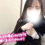 ヒメ日記 2026/02/17 17:38 投稿 あかり リアル 日本橋店